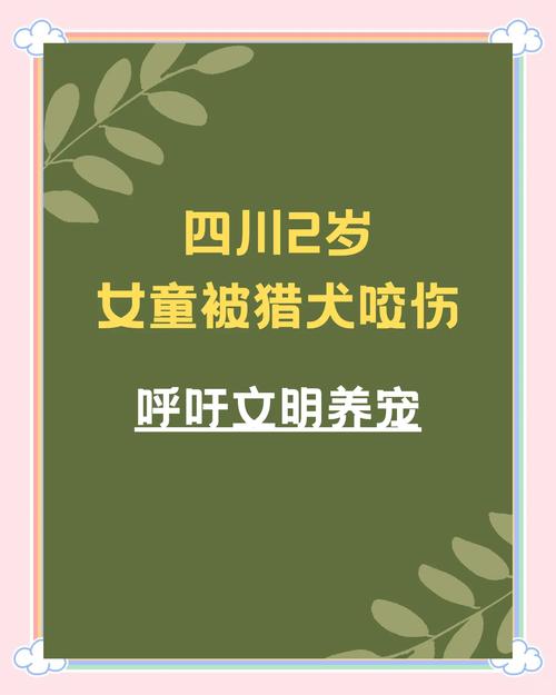 女童被狗扑咬受伤,女儿被小狗咬了没出血怎么办